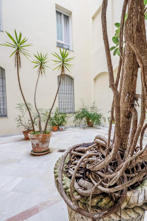 Chic&Luminoso-Wifiac/Elegant Apt In Salvador 2 Br Sevilla Buitenkant foto